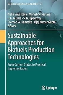 Sustainable Approaches for Biofuels Production Technologies: From Current Status to Practical Implementation (Biofuel and Biorefinery Technologies Book 7)