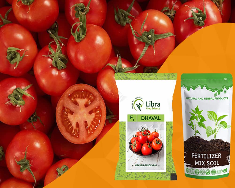 Kitchen Garden Seeds | Tomato | Farming | Home | Vegetable | Hybrid | Planting | Terrace | Balcony | Eating | Solanum Lycopersicum | Tameta | Tamatar | Desi - 0.05 Gram : 163 Seed (B0B2WMC8SM) Amazon Price History, Amazon Price Tracker