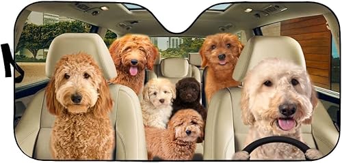 Goldendoodle - Parasol para parabrisas ligero y estético, bloquea la luz solar y el calor, mantiene tu vehículo fresco y libre de daños, fácil de
