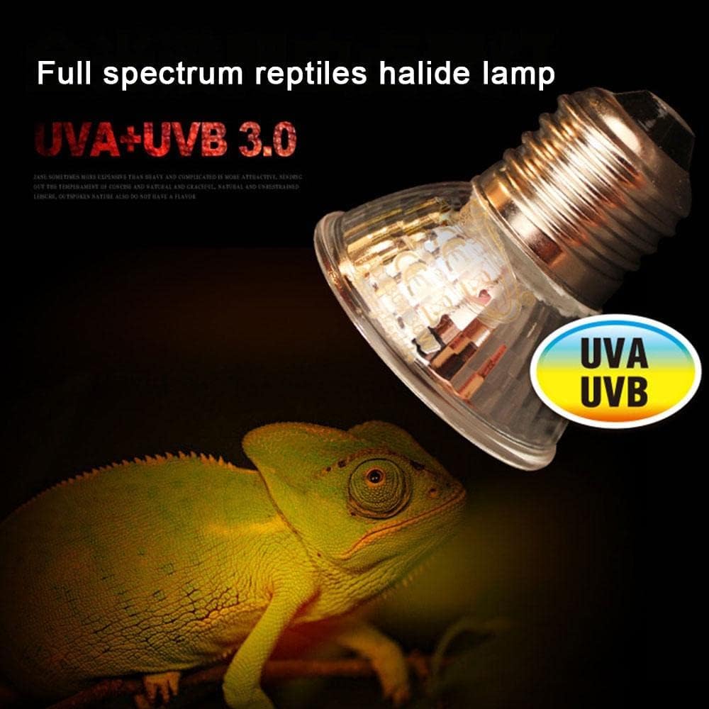 VAYINATO® 50 Watts Reptile Turtle Basking light turtle uvb uva heat lamp bulb turtle heat basking halogen bulb by Petzlifeworld 3