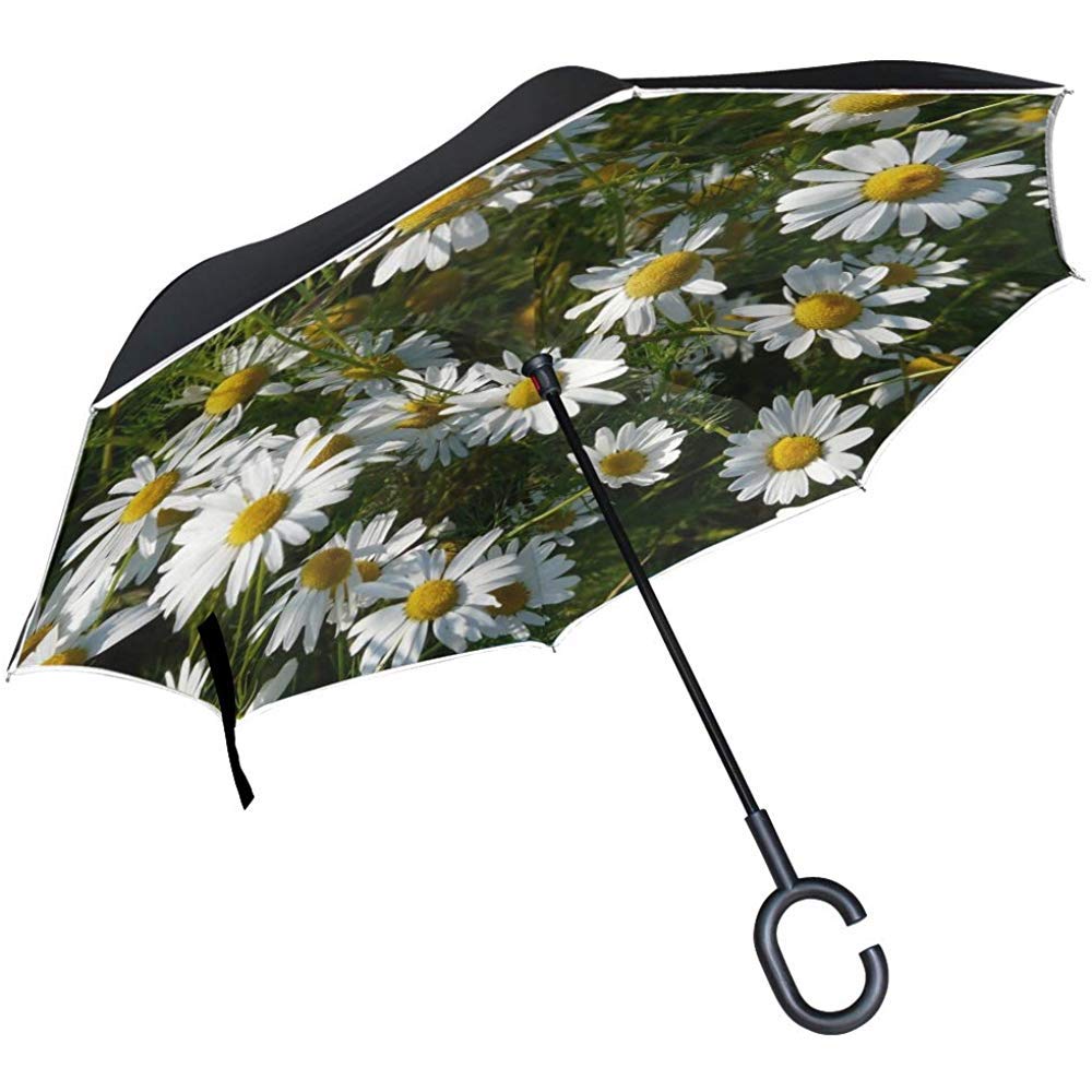 Alice Eva Inverted Umbrella Genuine Chamomile Matricaria Chamomilla Chamomile Umbrellas Reverse Folding Umbrella Big Straight Umbrella