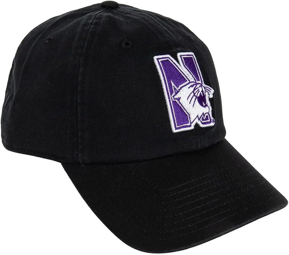 Desert Cactus Northwestern University Baseball Hat NU Wildcats Brimmed Embroidered Hats Cap Adjustable Cloth Strap Type B