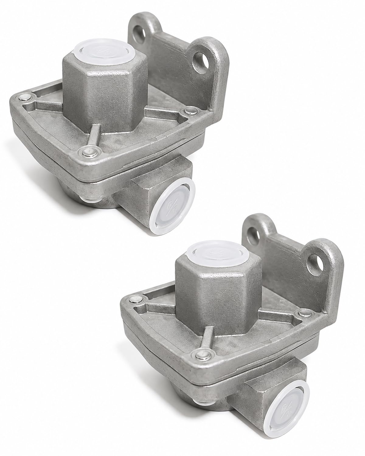 Amazon.com: 229859 Quick Release Valve 2Pack - Compatible with