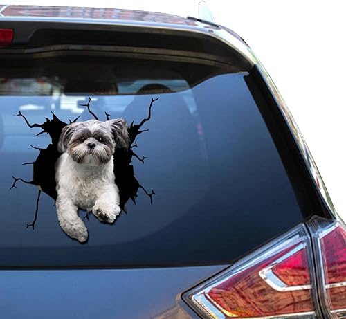 Shih Tzu - Adhesivo de advertencia para ventana de perro Shih Tzu para mujer, divertido memes, parachoques automotriz