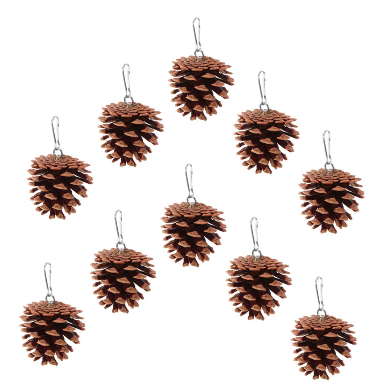 SUPVOX Safe Chewing Bird Toy 10pcs Natural Pine Cone Parrot Toys Bird Cage Accessories