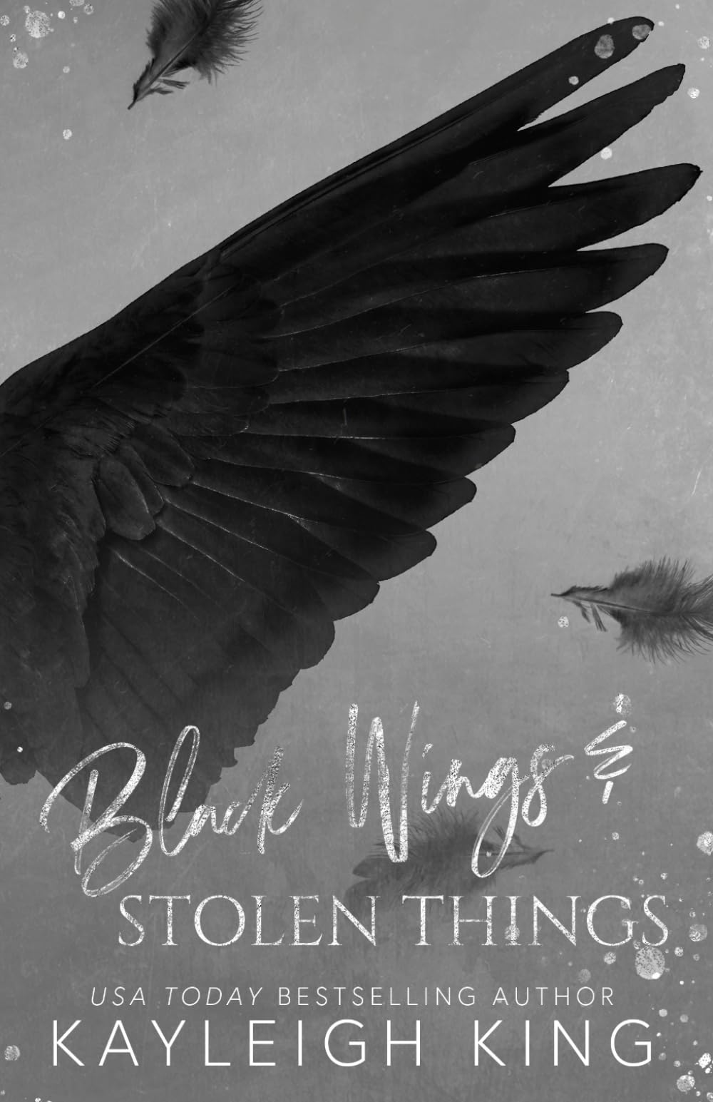 Black Wings & Stolen Things: A Dark Forced Marriage Romance (Fractured Rhymes)