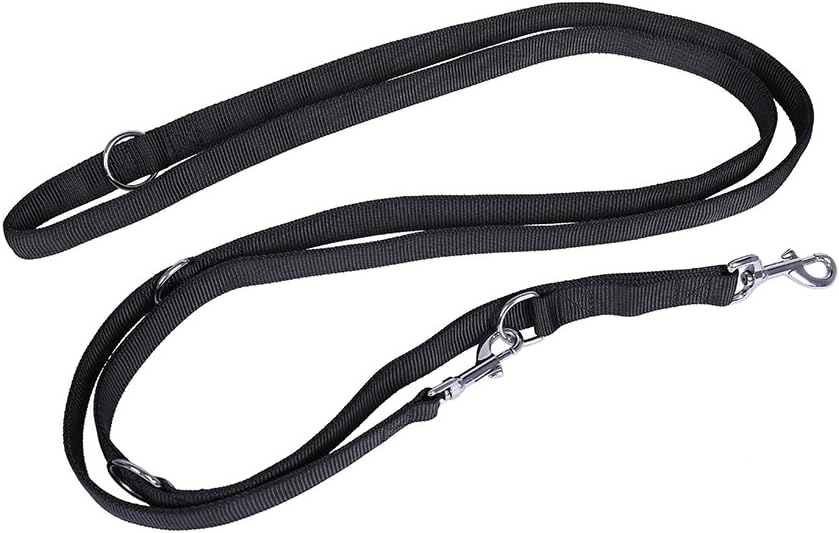 10 ft dog training lead Clearance