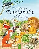 Schwager & Steinlein Verlag