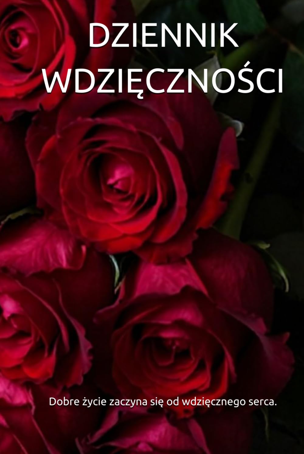 DZIENNIK WDZIĘCZNOŚCI