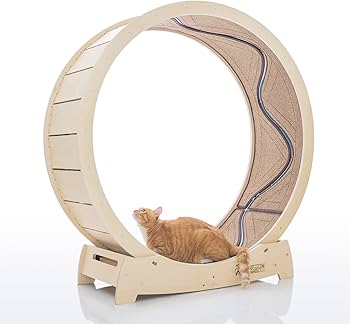 STAR CATWHEEL キャットホイール Lサイズ Amazon | スターキャットホイール、キャットトレッドミル、室内の猫用