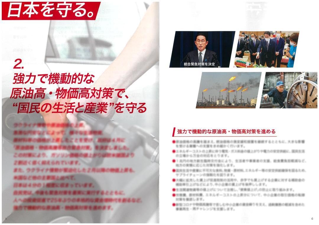 Amazon.co.jp: 自由民主党政策パンフレット（ ） : おもちゃ