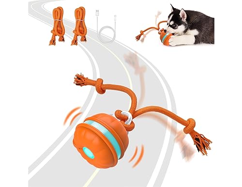 Best Interactive Puppy Toys: Fun and Educational Entertainment