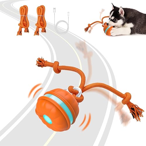 Juguetes interactivos para perros, bola de perro activada por movimiento, juguetes automáticos de bola rodante para cachorros/perros pequeños