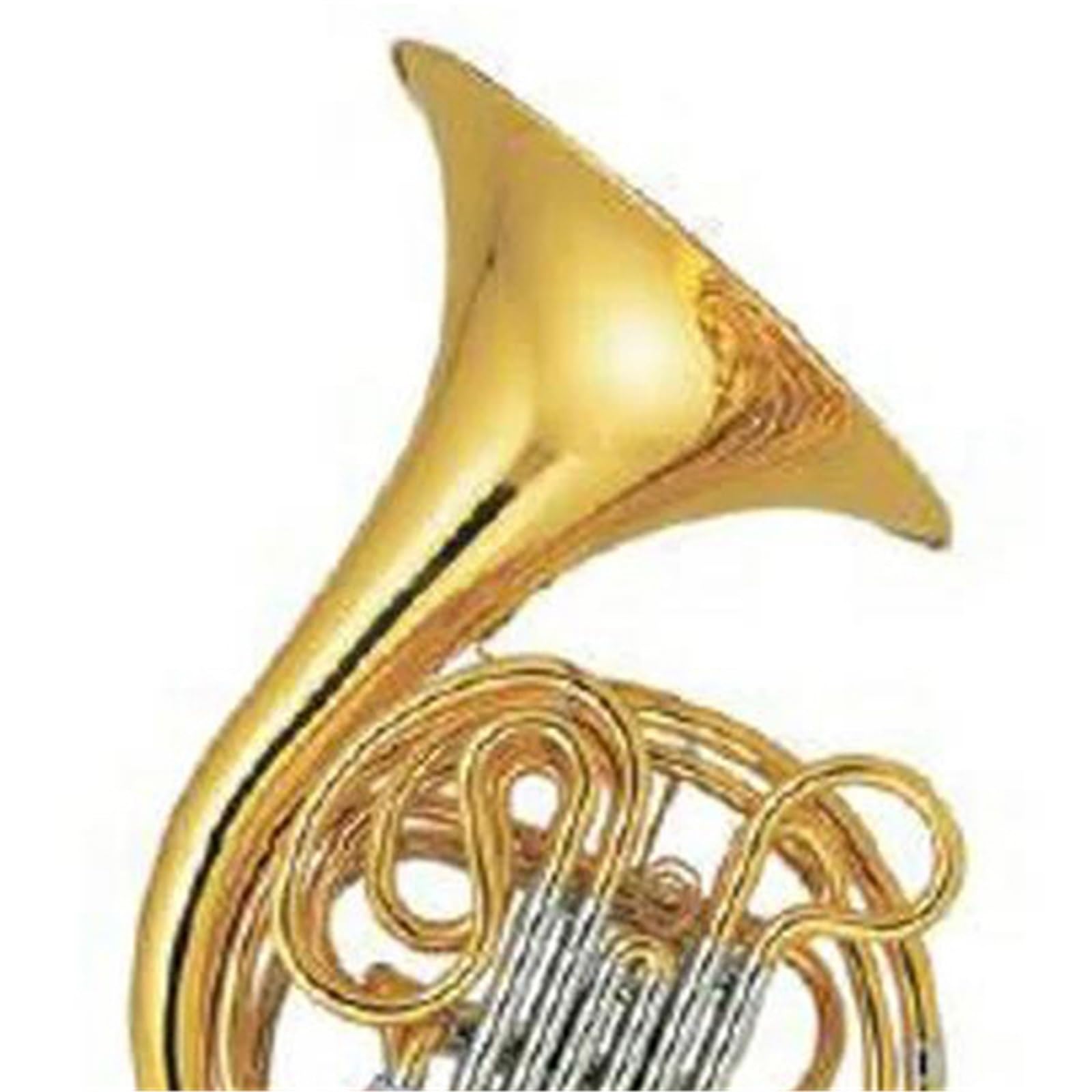 Róg Francuski Instrumenty Muzyczne Profesjonalne Wykonanie Złoty Lakier F Bb Klucz Podwójny Róg Francuski