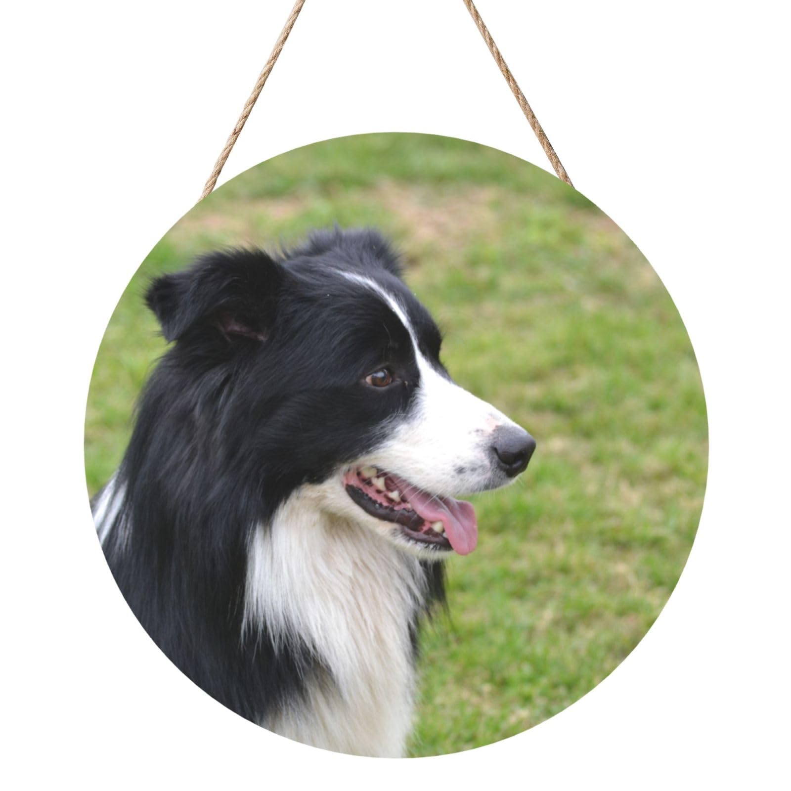 InOmak Border Collie, Round Wood Panel Painting 12 in, Wall Hanging Painting For Home