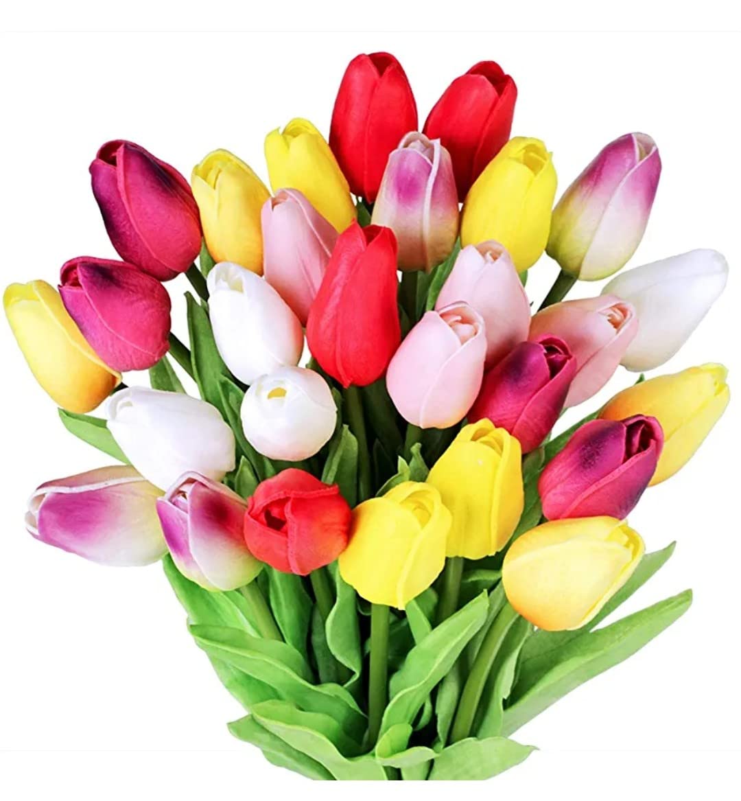 VRB Dec™ Artificial Chrysanthemum Ball Hydrangea Fake Flowers Sticks Bunch for Home Decor,Room Decorations, Living Room Table Decoration Plants (Without Vase Pot) (Tulip Multi - 5 Pcs) (B0BSH2VN6X) Amazon Price History, Amazon Price Tracker