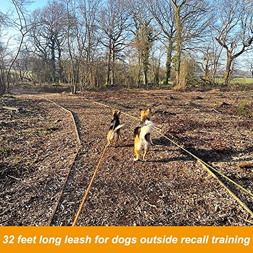 Vivifying Schleppleine 10M für Hunde, Reflektierende Schleppleine für Draußen und Hof, Schwimmende Schleppleine für Hunde für Camping, Wandern, Schwimmen und Strand (Orange)