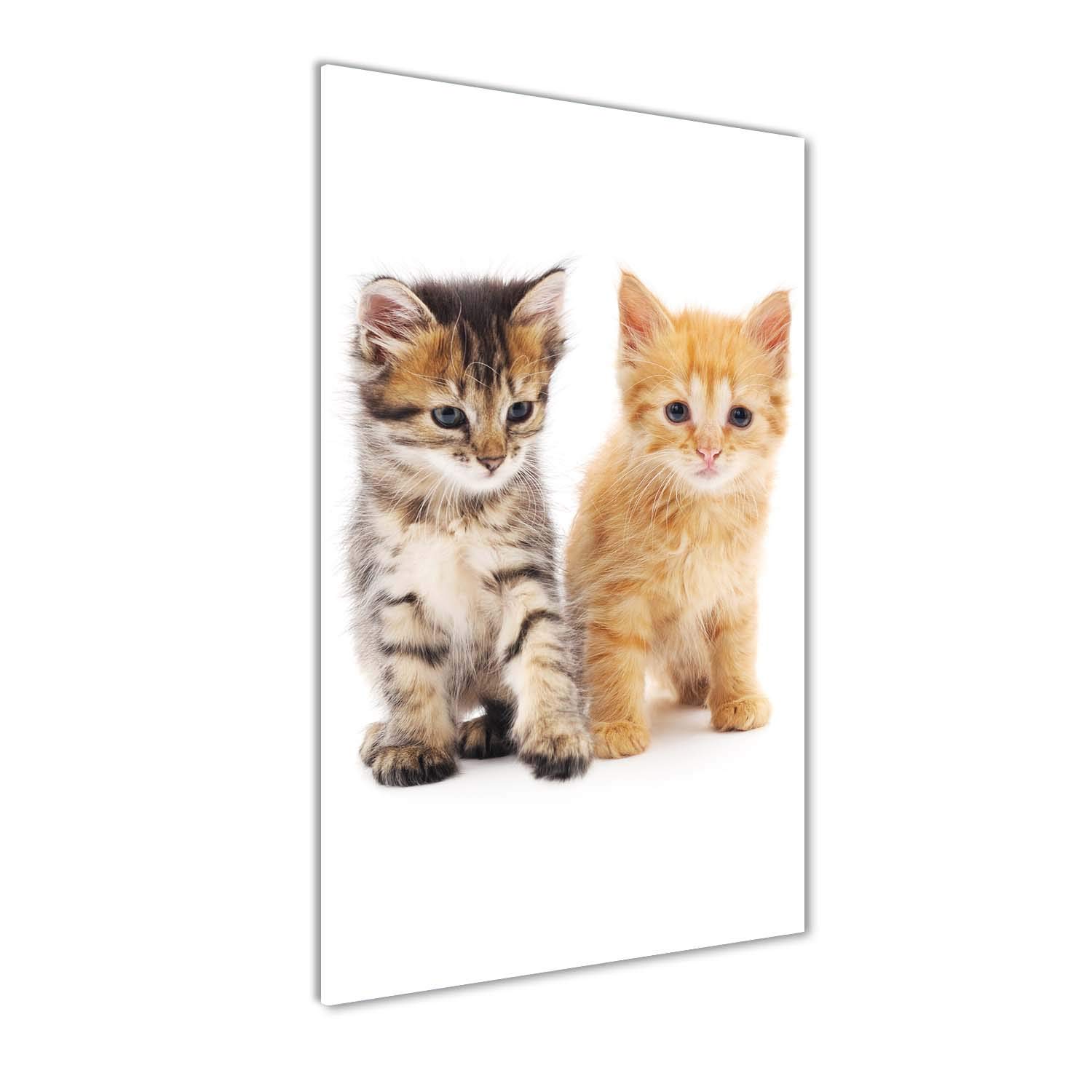 Photo décorative sur verre panoramique 60x120 cm chat gris haut de gamme