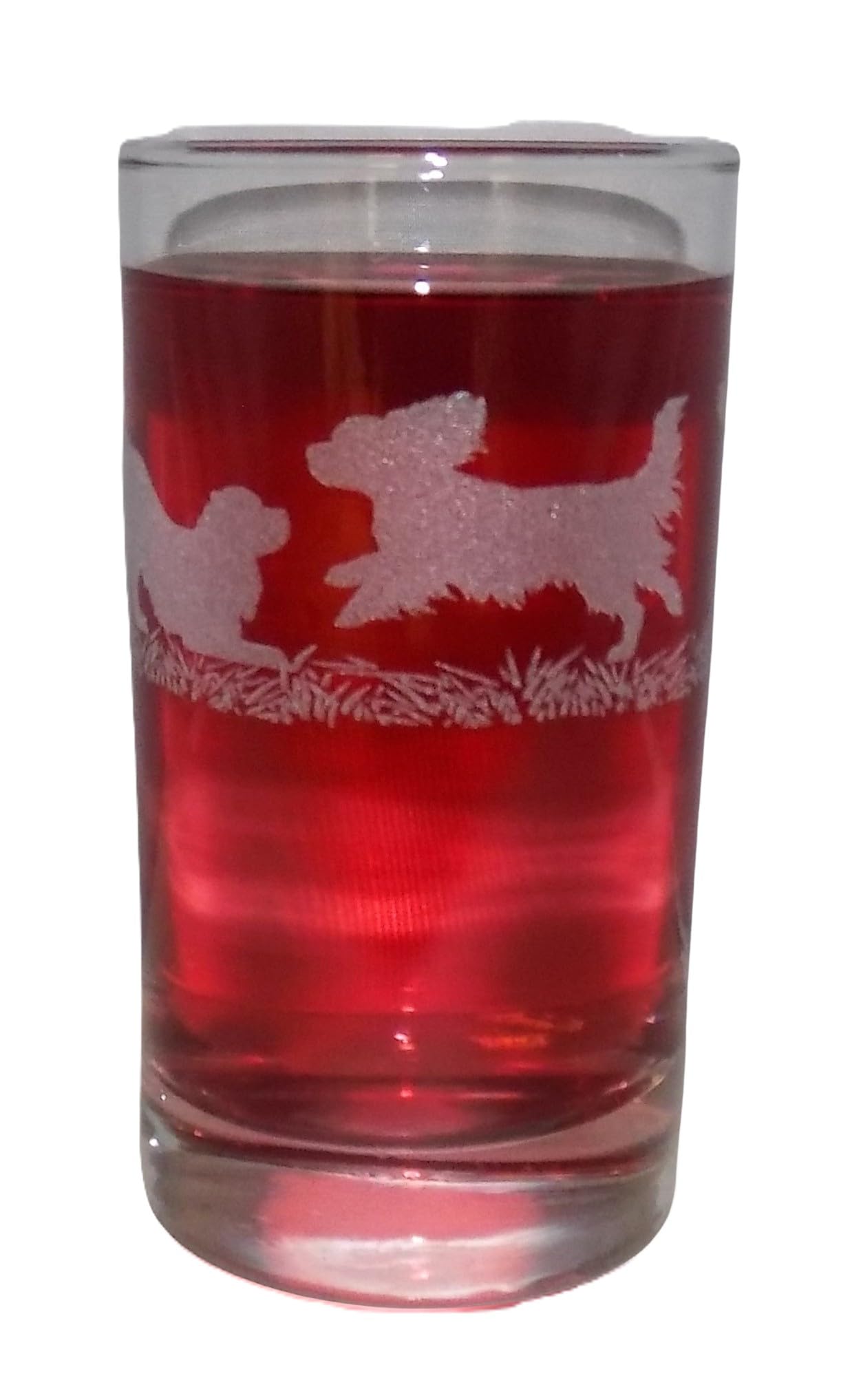 Cavalier King Charles Spaniel Engraved Highball Tumbler — image 1