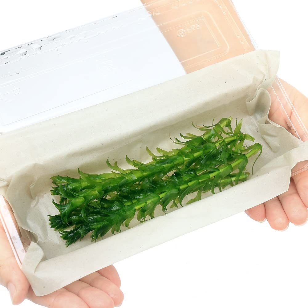 Amazon.co.jp: （水草）メダカ・金魚藻 国産 無農薬アナカリス（5本