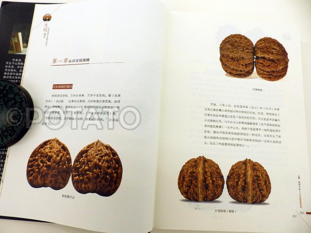 龍鼎核桃、クルミ、文玩 No.244遊ぶクルミ 文玩核桃 绣球 文玩袋 セット - メルカリ