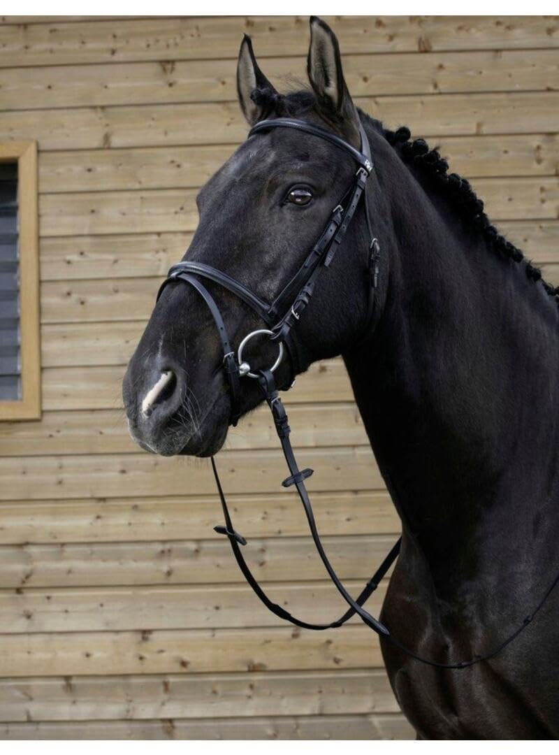 RIDING WORLD Bridon Combinée - Couleurs - Noir, Taille Equipement Cheval - COB