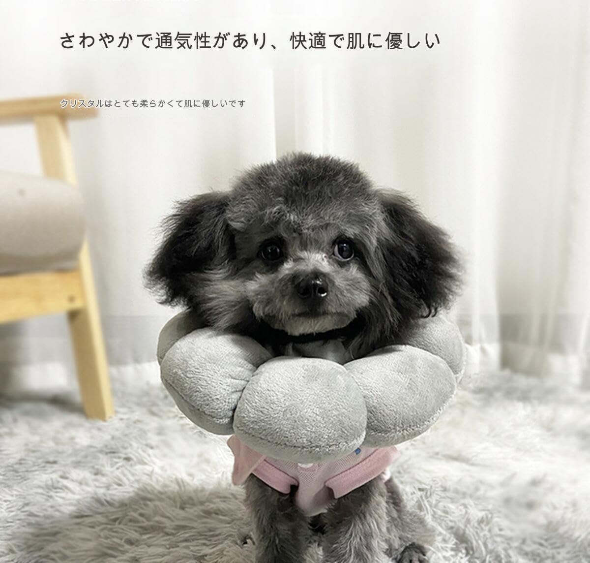 Amazon | ペット用品 ペット ひまわり型首輪 手術後傷口保護首輪 犬 猫