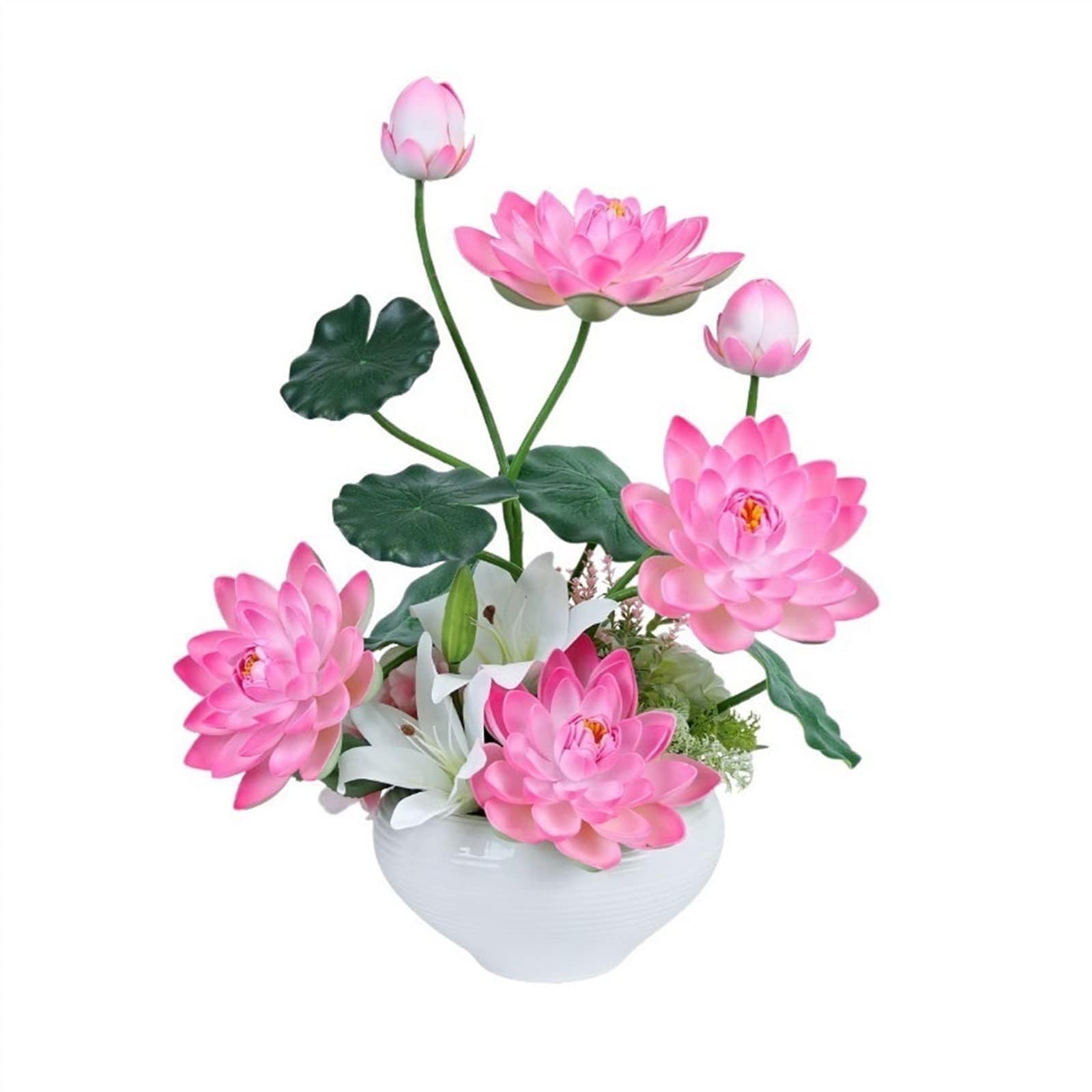 Bold Byte Rainbow Lotus Seeds for Planting Flower Seeds At Home | 100% Germination | Kamal Gatta Seed | Lotus Mix Color Flower Seeds, Home Gardening, Live Water Plant for Pond | 20 Seeds Pack, (B0DC53NDPV) Amazon Price History, Amazon Price Tracker