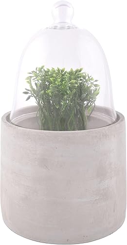 Esschert Design AGG38 Cloche con base de hormigón, mediano