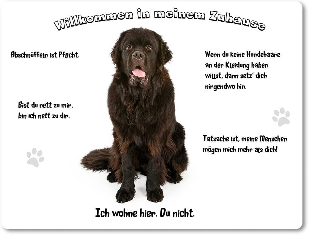 Aluminium-Schild „Willkommen In Meinem Zuhause“ Mit Meerschweinchen-Motiv – 15x20 Cm, 4 Befestigungslöcher (Made In Germany)