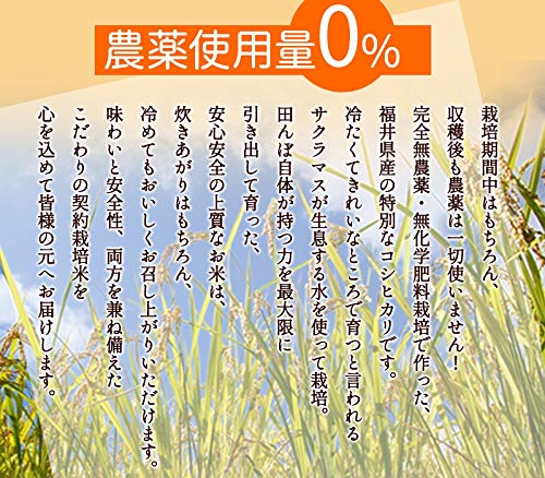 Amazon.co.jp: 5分づき 無農薬 コシヒカリ ｢極｣ 2kg 令和7年福井県産