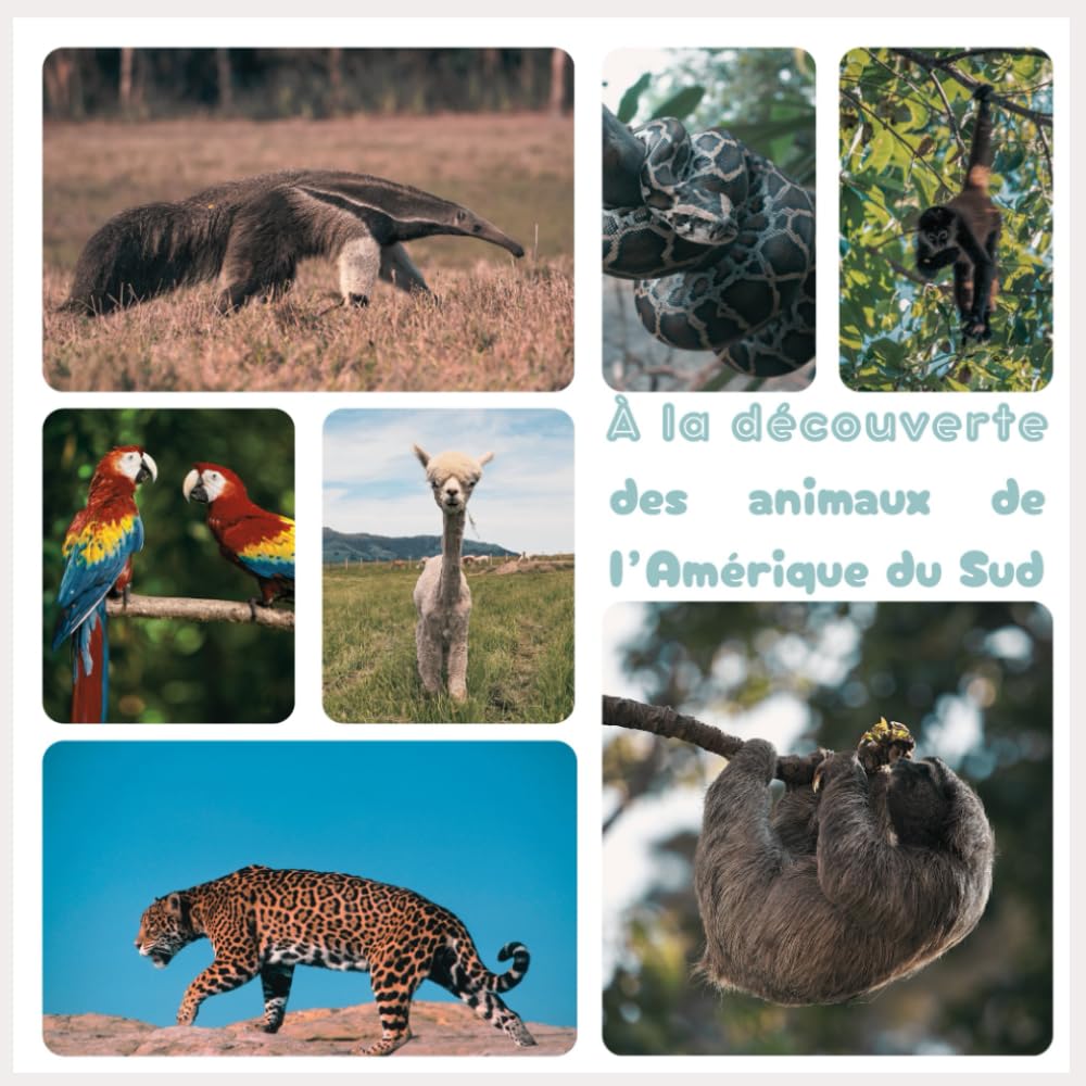 À la découverte des animaux de l’Amérique du Sud