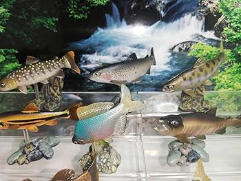 Amazon.co.jp: ユージン 原色淡水魚図鑑Ⅰ 初版 全16種 フル