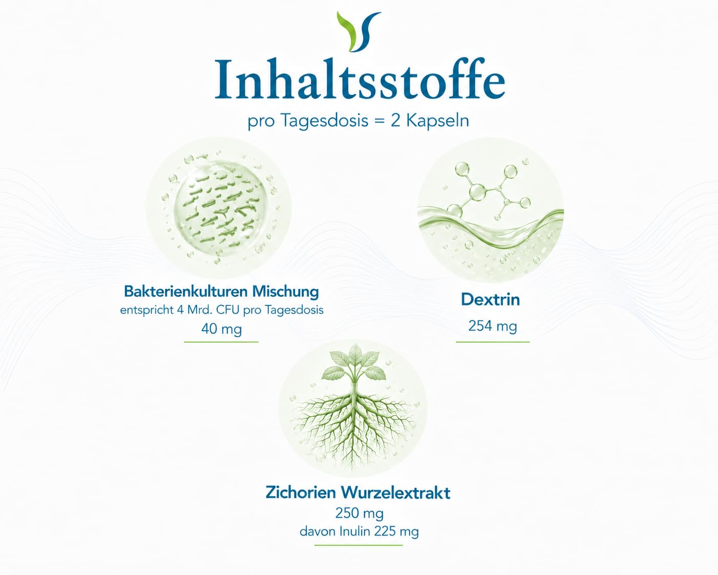 VITABIOTICA 12-60 vegane Kapseln – 12 Bakterienstämme – 4 Mrd. KBE – glutenfrei & laktosefrei