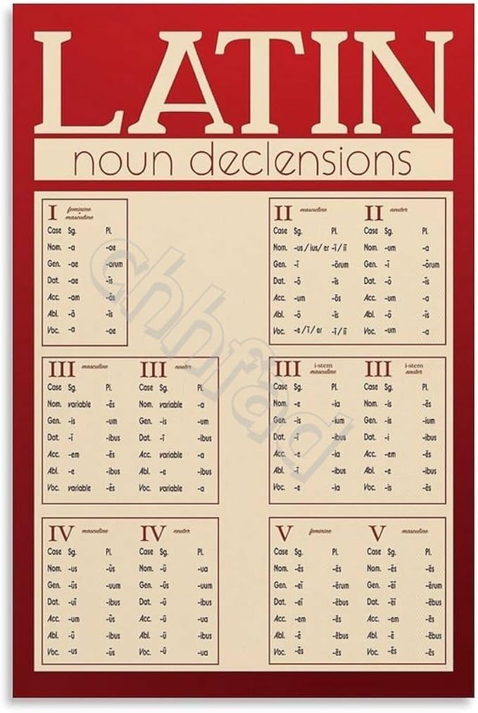 KCDFDVJFBM Study Room Latin Grammar Poster Noun Declensions Reference Chart for Learning Wall-Art(Unframed,08x12inch(20x30cm))