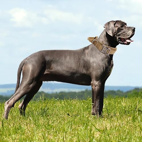 Skacsqug Tactical Dog Collar, Adjustable Military Training Nylon Dog Collar With Control Handle And Heavy Metal Buckle For Medium And Large Dogs, (L, Brown) #TOP5