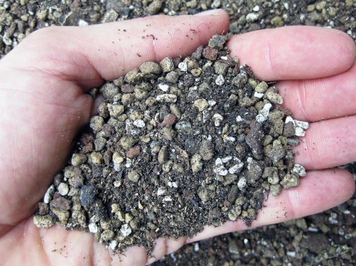 Tierra, sustrato profesional para plantas suculentas (cactus - crasas) (Top Cactus - Geosism) (1 lt)