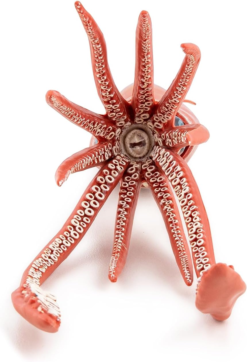 Papo - Realistic Giant Squid Figure - Ages 3+ - Marine Life Collection - Educational Play Sea Creatures - Gift Idea Toy for Girls and Boys