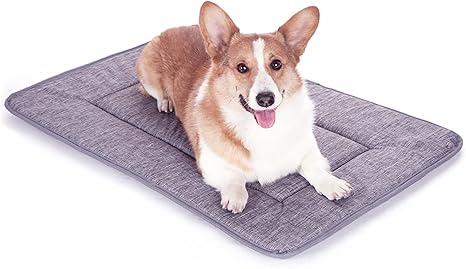 dog memory foam pad