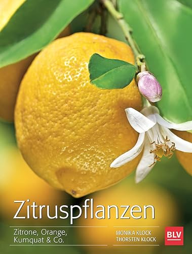 Zitruspflanzen: Zitrone, Orange, Kumquat &amp; Co. (BLV Pflanzenpraxis)