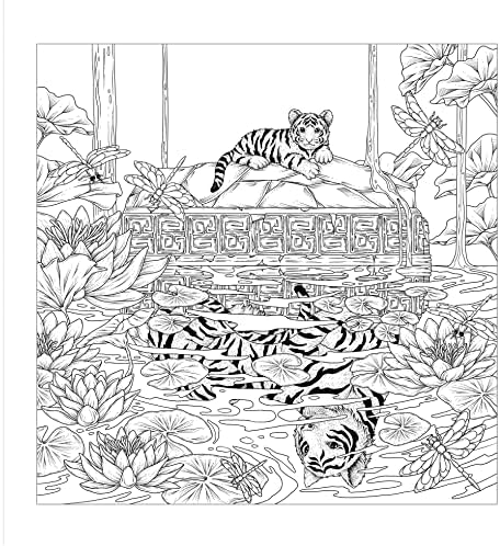 Mythographic Color and Discover: Magical Earth: An Artist's Coloring Book of Natural Wonders