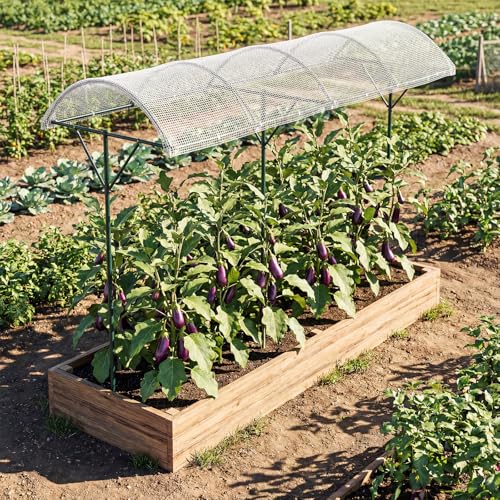 COSTWAY Tomatendach Tomatenschutzdach Metall Tomaten Dach für Hochbeet mit regendichtem PE-Dach inkl. Windseile & Bodennägel Pflanzenschutzdach Garten Terrasse Schutzdach für Obst Blume Gurken