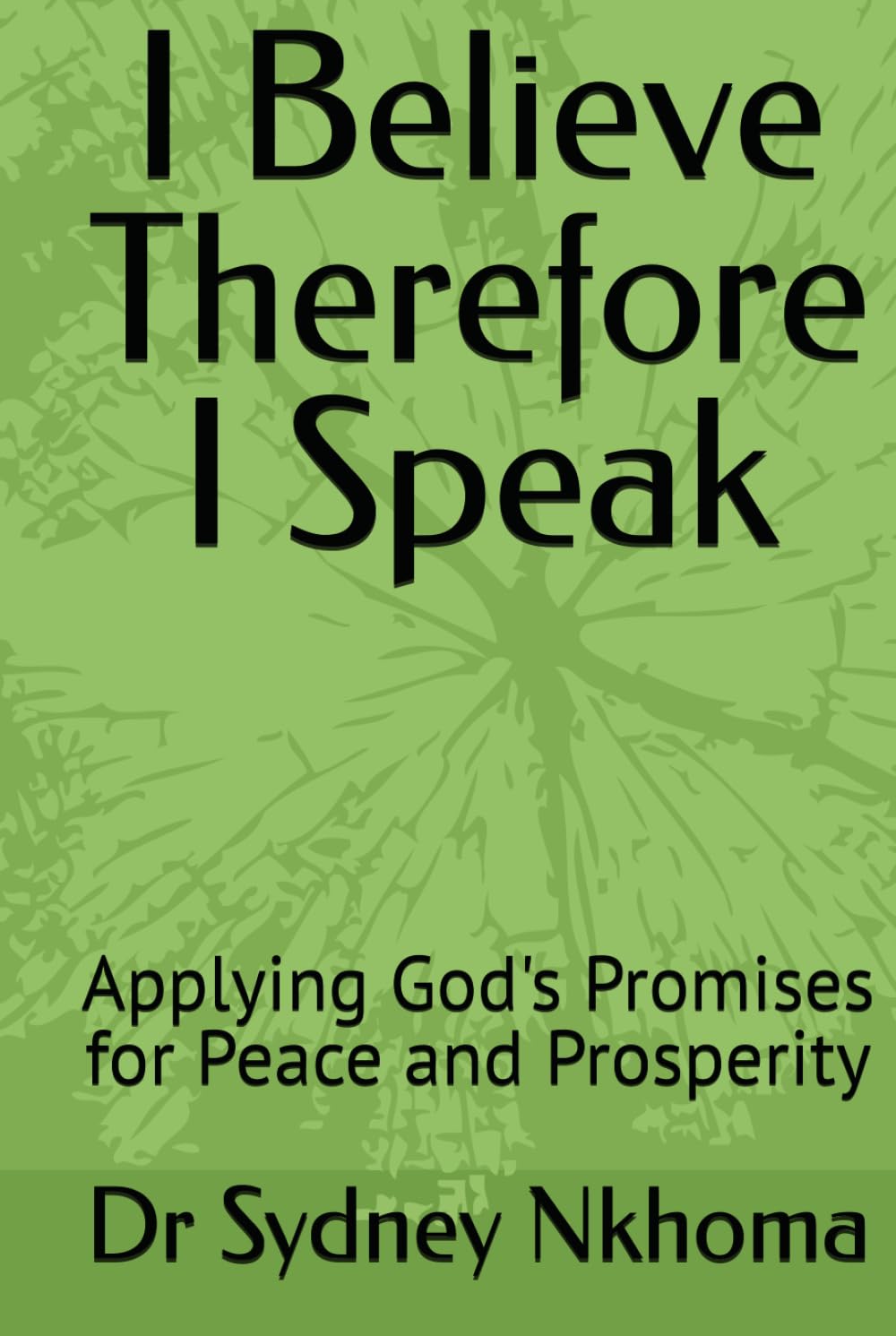 I Believe Therefore I Speak: Applying God's Promises for Peace and Prosperity