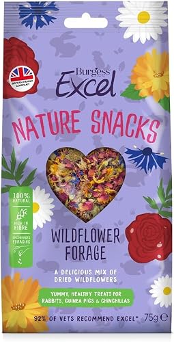 Burgess Excel Nature Snacks Wildflower Forage 75 g