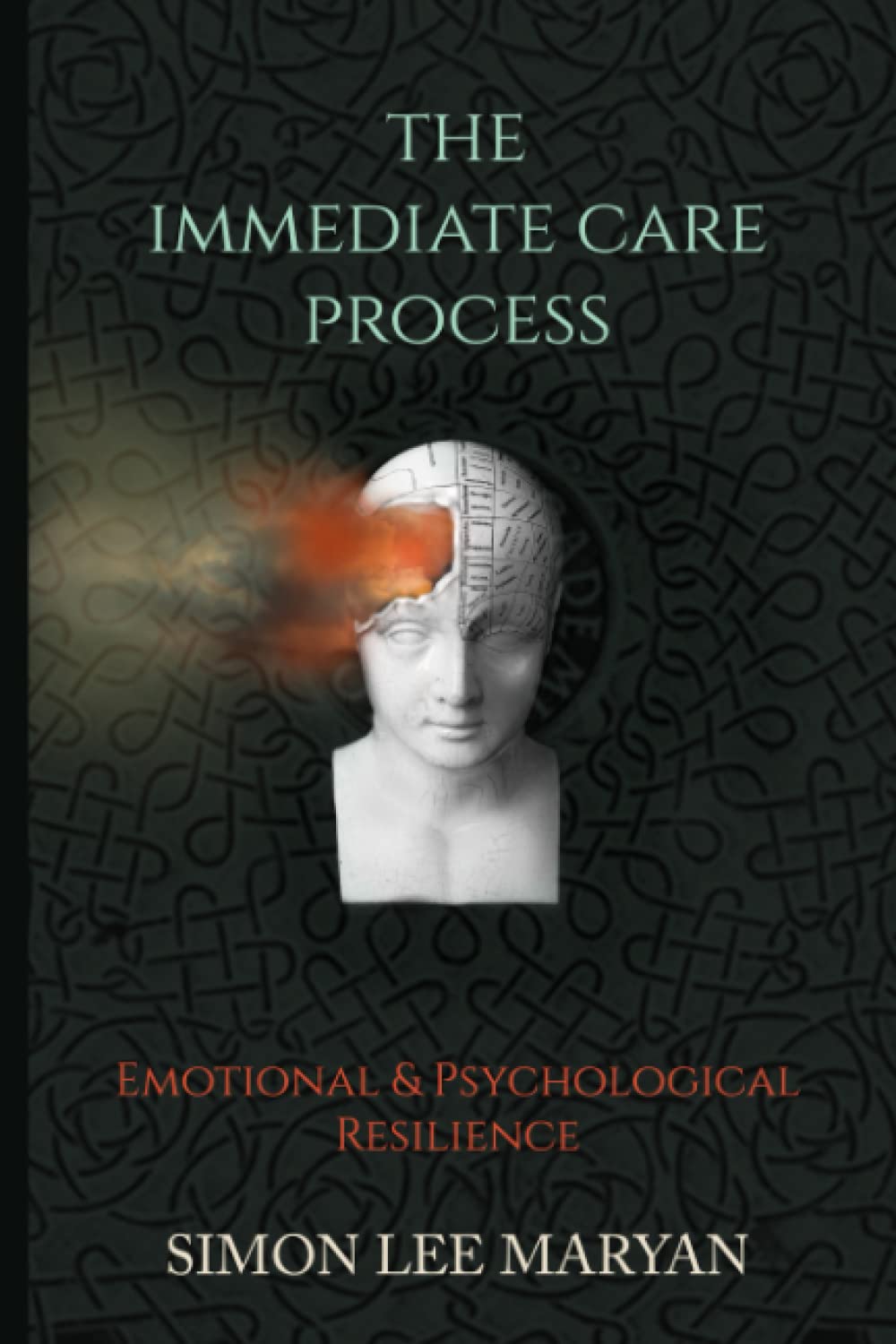 The Immediate Care Process: Emotional and Psychological Resilience