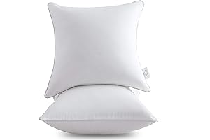 Leeden 18 x 18 Throw Pillow Inserts (Set of 2) - Elevate...