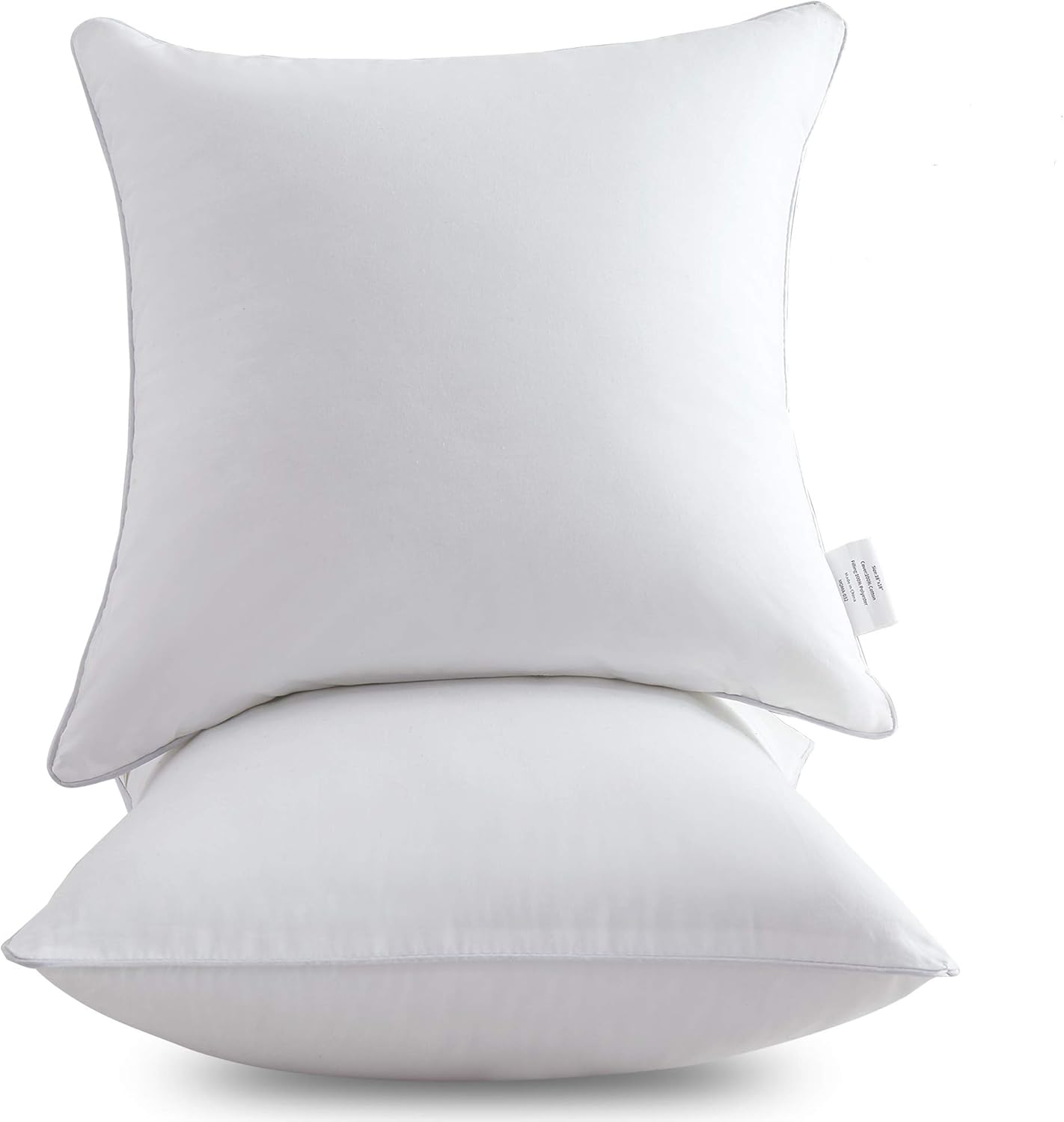 Leeden 18 x 18 Pillow Inserts (Set of 2) Throw Pillow Inserts with