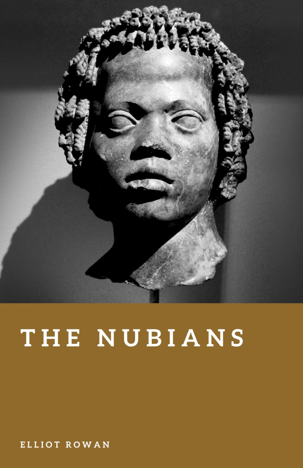The Nubians: Kingdoms and Culture of the Upper Nile (Forgotten Civilizations)