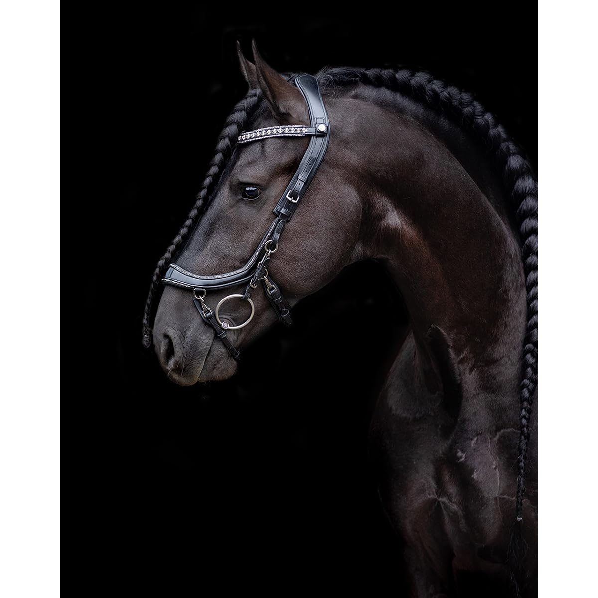 Trense FaySport Glitter PresTec Negro - Cob/VB