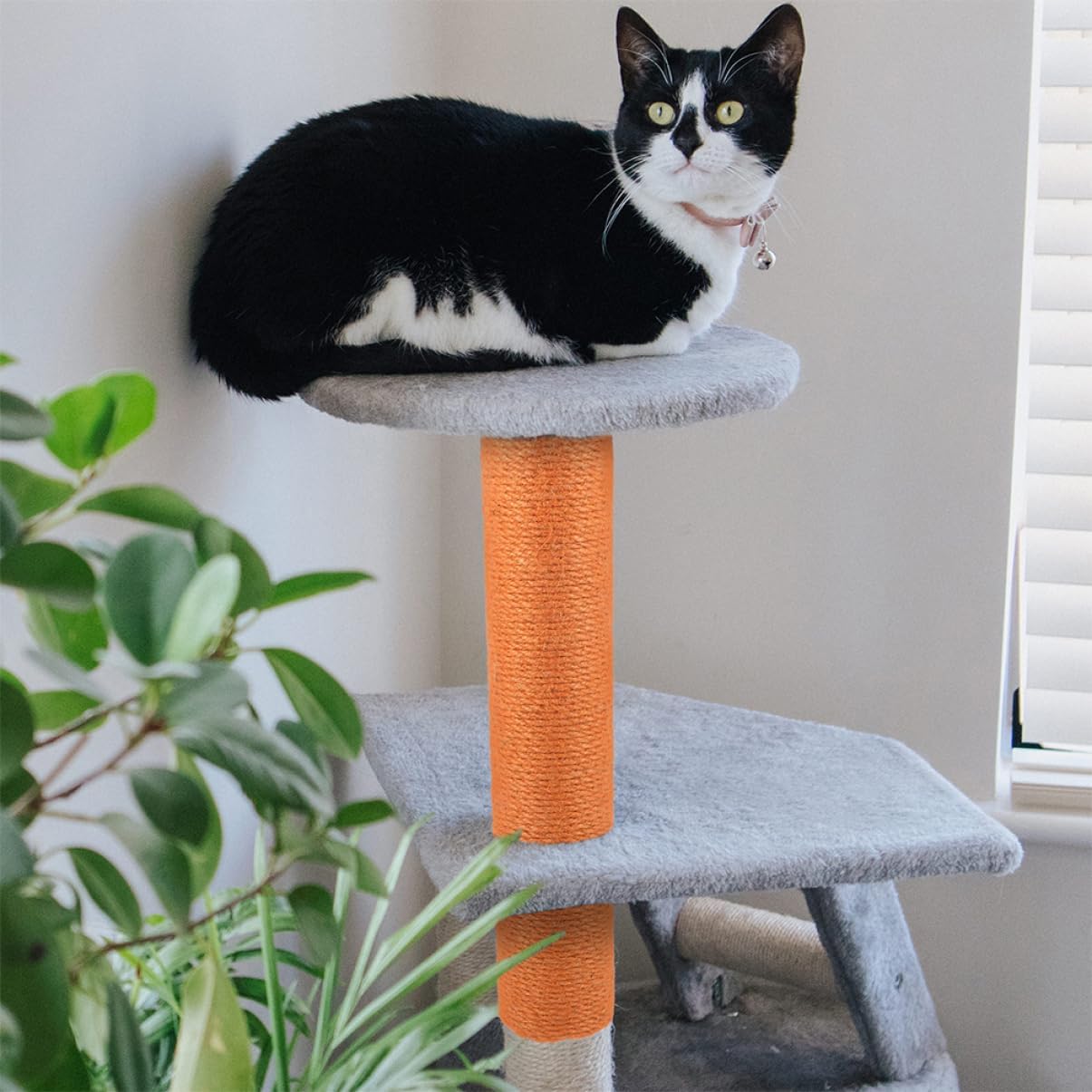 2pcs Cat Scratch Post Replacement Jute Rope Sturdy Wooden Climbing Post for Indoor Cats Wear-Resistant Scratching Toy